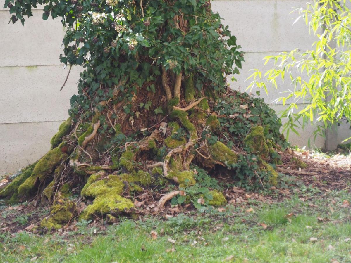 Chateau Segot Neuilly-le-Real Bagian luar foto